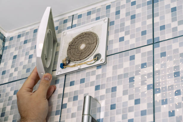 Best Ductwork Cleaning Services  in Frankfort, MI