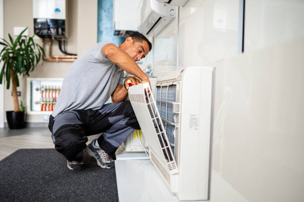Best Affordable HVAC Duct Cleaning  in Frankfort, MI