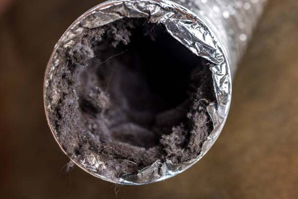 Best Air Duct Cleaning Company Near Me  in Frankfort, MI