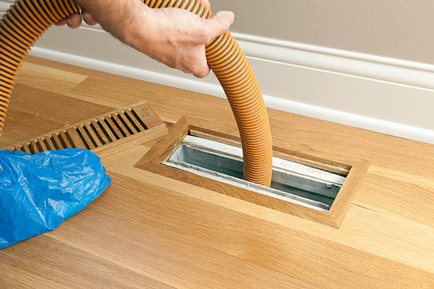 Best Air Duct Cleaning Near Me  in Frankfort, MI